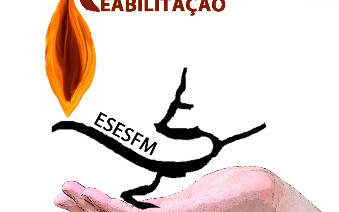 Pós-Licenciatura de Especialização em Enfermagem de Reabilitação | Resultados